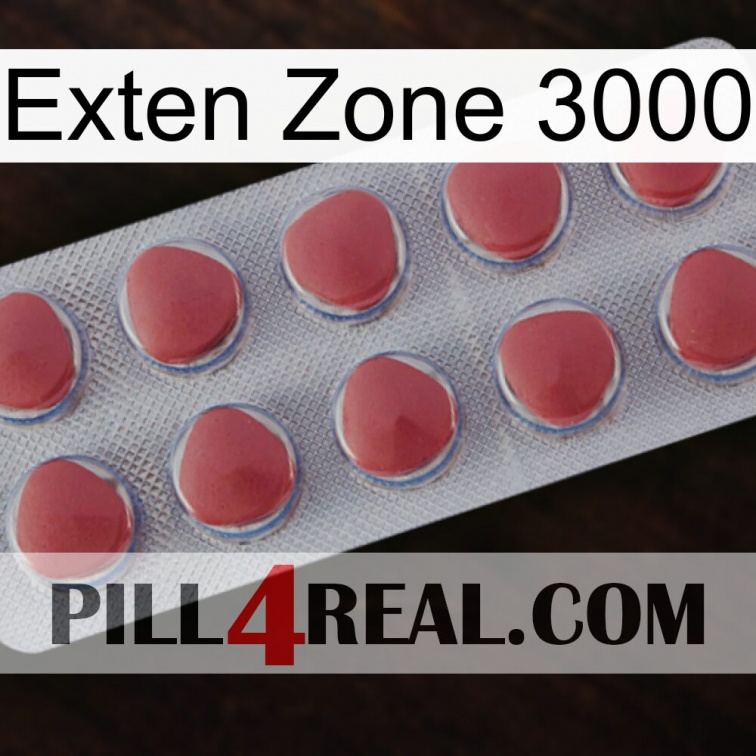 Exten Zone 3000 18